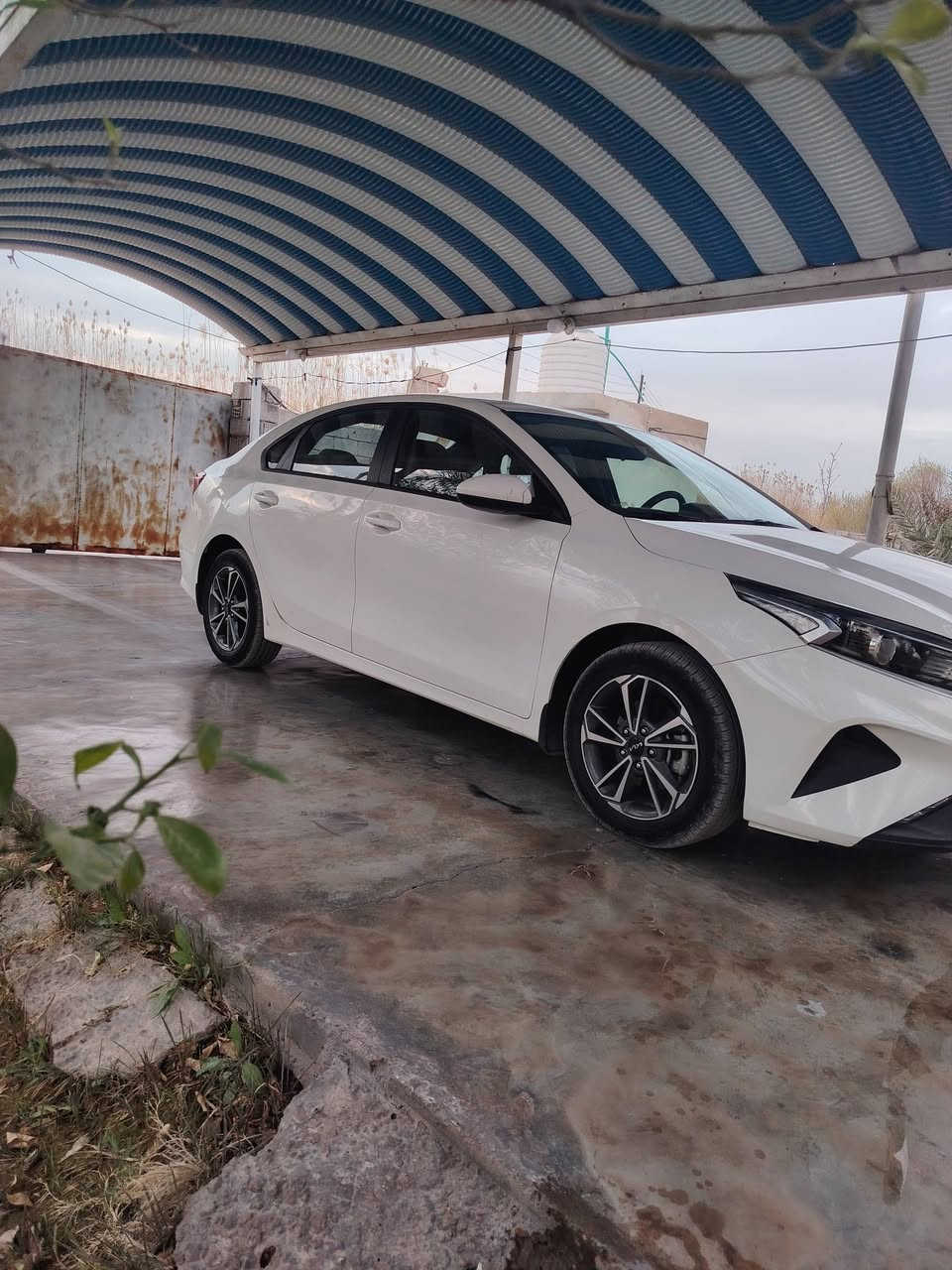 سلام عليكم
سيراتو للبيع موديل 2024

محرك 2000

سونار مرافق المنشور 

رقم اربيل تريد تحويل تريد وكاله

بيه بارد اغل شبر

مكفولة كفاله عامه

سياره جديد بمعنه الكلمه

***********

مكاني بغداد قضاء المدائن سلمان باك
