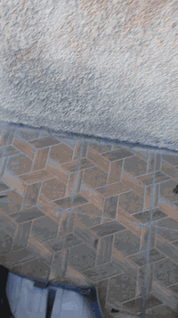 مساكم الله بالخير و الصحة و العافية
اخوتي الاعزاء توفرت دعامية امامية و خلفية فولستر من موديل 2019 لحد موديل 2022 و التفاصيل بالفيديو 
توفرت لايتات امامية عدسة من موديل 2012 لحد موديل 2017 
توفر دفيوزر الخلفي للشكل العادي كامل و قطع من موديل 2012 لحد موديل 2017 
بالاضافة الي فسفورات و بلاجكتورات الشكل العادي من موديل 2012 لحد موديل 2017 
اخوكم المهندس احمد حاضر و جاهز لأي سؤال او استفسار 
*********** واتساب و اتصال
