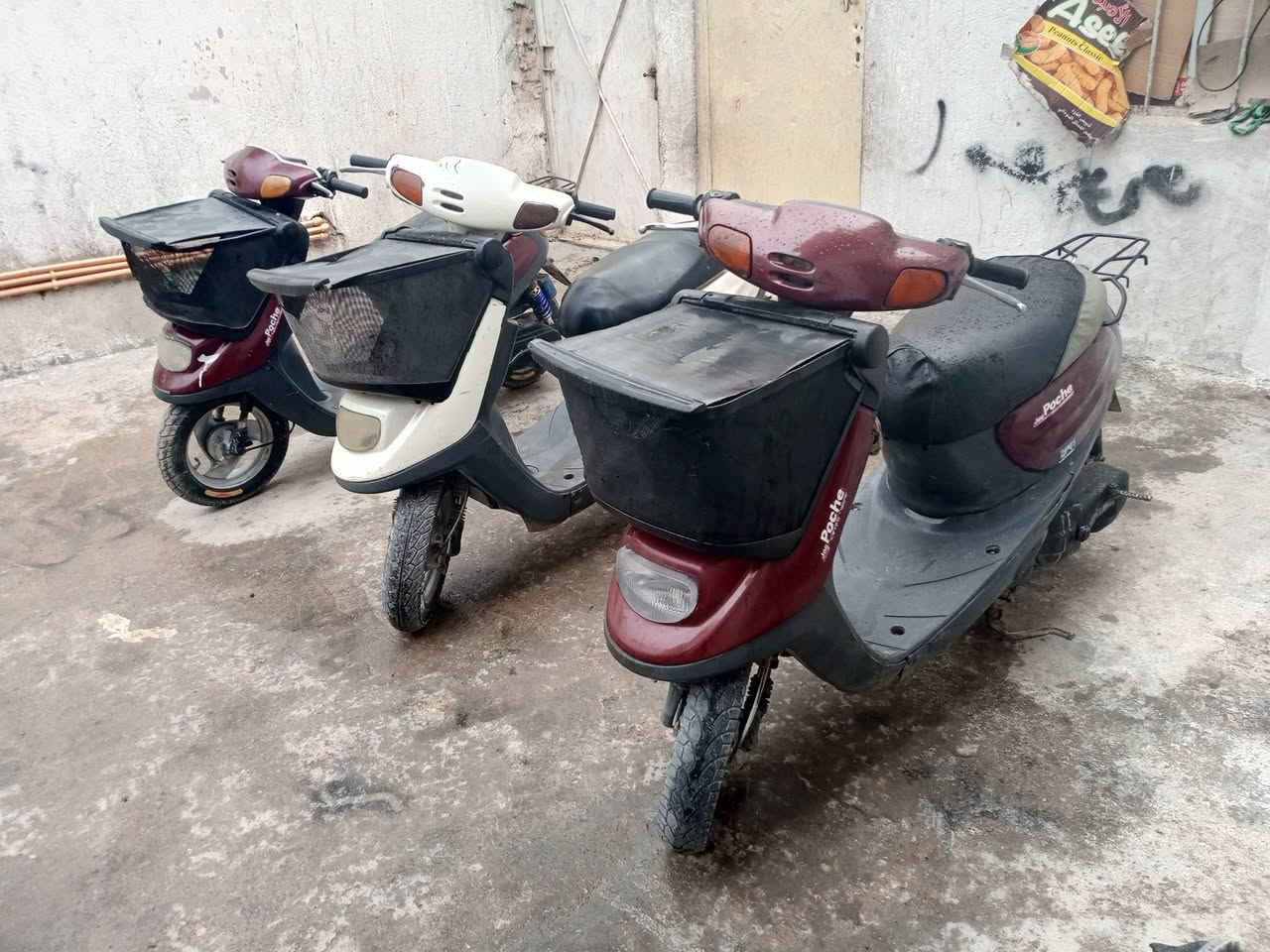 ***********ردراجات منغولي 2003 دراجات كله شغال العنوان كربلاء حي الغدير سعر 350 وبيهن مجال بيهن مجال العنوان كربلاء حي الغدير
