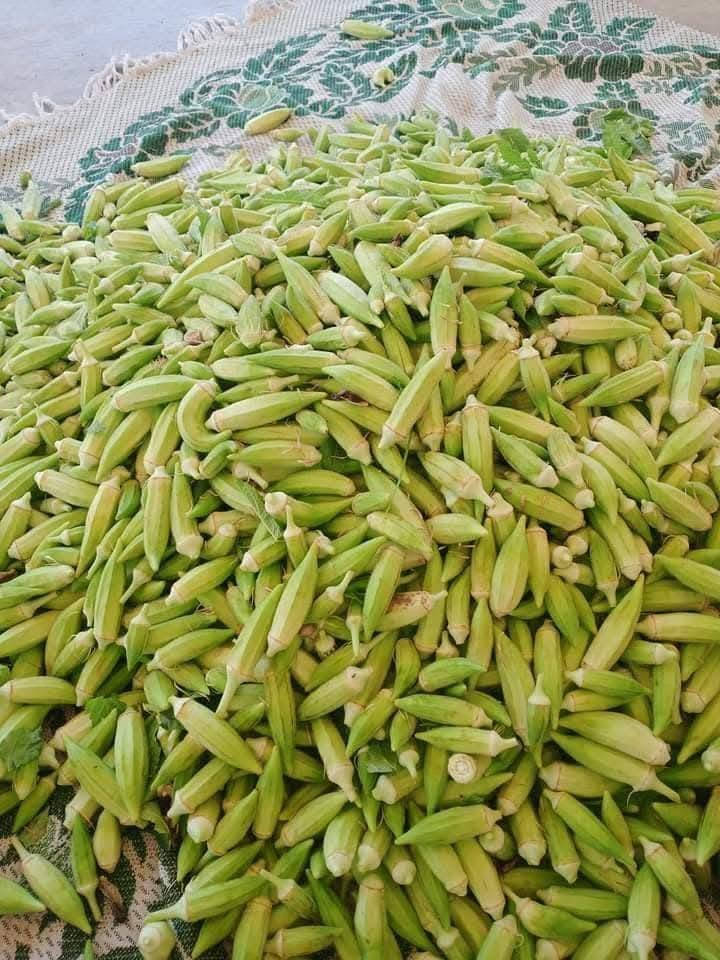 بامية مالت البيجي


**إذا كنت صاحب هذا الإعلان وتريد حذفه لأي سبب، رجاءا أرسل رسالة إلى الدعم الفني**