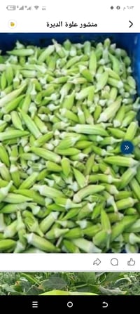 عرض نار🔥🔥🔥 باميا فرش حوي يوم بيومه الكيلو 1500 دينار فقط ...  للإستفسا...