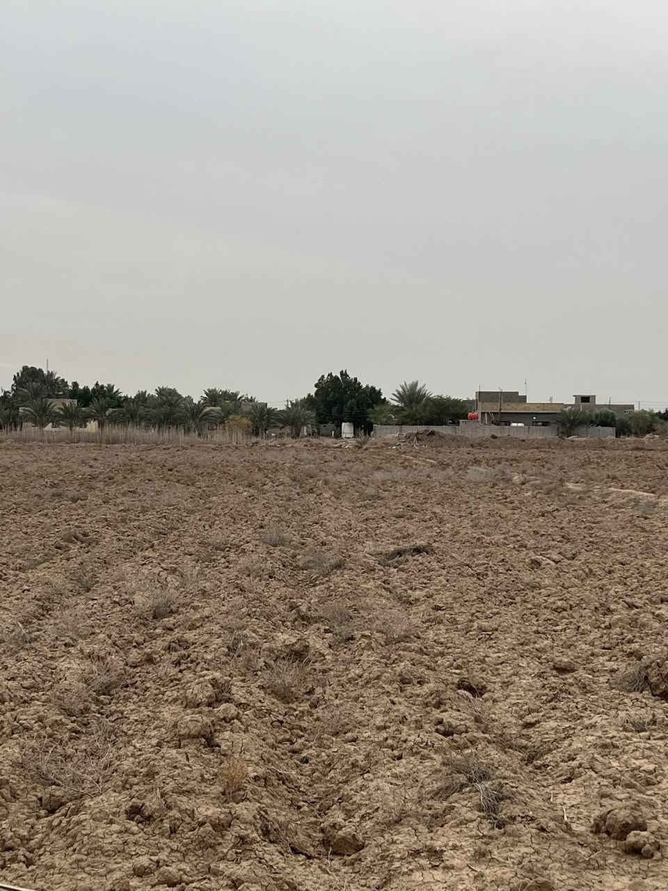 للبيع ….
5دًونم ،عقد 17
تبعد عن طريق مرقد الخضر (ع) 400m.!
خلف مدينة حمورابي."
#تتوفر فيها خدمات "
(الارض تابعه إلى طابو المسيب )وليست ملك أحد"
ملاحضة :يوجد فيها معاملة تمليك"
للستفسار على الأرقام التالية:
*********** _***********
