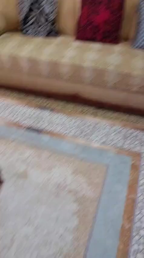 السلام عليكم تخم وديوان للبيع


**إذا كنت صاحب هذا الإعلان وتريد حذفه لأي سبب، رجاءا أرسل رسالة إلى الدعم الفني**