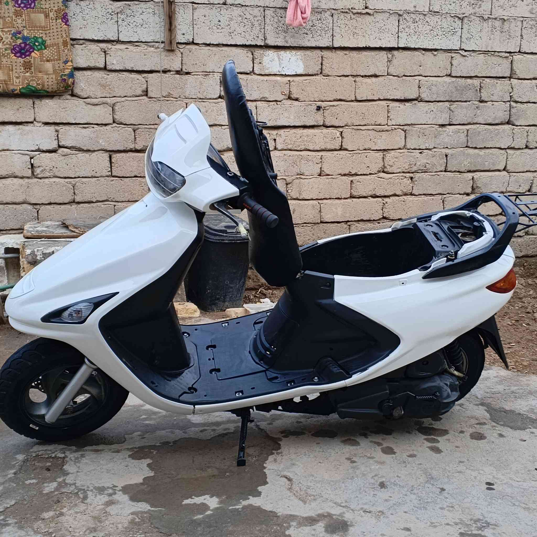 فراشه وكيل فحل / ***********
