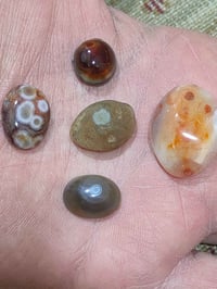 شلع • مستعمل