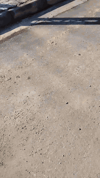 منطقة ٥٧ الجوادين • ٣٥٦م • سند حر