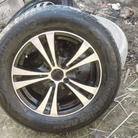 تخم ويل ٤ ستد حجم ١٥  للبيع ٠٧٨١٥١٩٩٩٠١