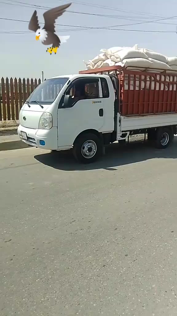 السلام عليكم كيه فحل  رقم نينوى  حصه گاز مكفوله كفاله عامه ***********
