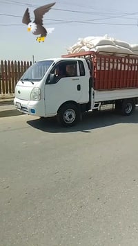 كيه فحل  رقم نينوى  حصه گاز مكفوله كفاله عامه 07772685973