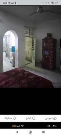 نشائية ابو طيبه • ١٠٠م • جديد ٢٠٢٠