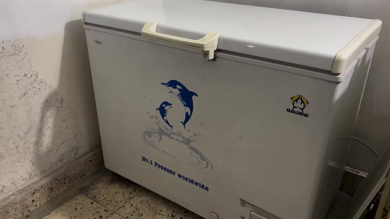 متوفرة مجمدة 12 قدم ب 275 الف اخت جديدة نظيفة جداً ومداخلة اي تصليح يشهد الله


**إذا كنت صاحب هذا الإعلان وتريد حذفه لأي سبب، رجاءا أرسل رسالة إلى الدعم الفني**