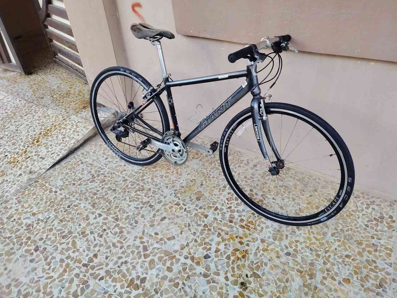 للبيع باسكل C700 ماركة جينت حجم 28 شرط النضافة كدام العين الوزن خفيف حيل حيل ريشة ما مستعمل مال حاوية بريكات شرط بال مكان كير خلفي 8 امامي 3 تايرات كتان أصلي ويالة شرط 
السعر 180  رقم الهاتف كورك  *********** آسيا ***********
