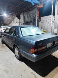 راس الثور • نقل جثه • مصبوغة جماليه