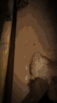 سلام عليكم شباب ماكس للبيع 
ماكس عدله حلوه او نضيفه 
سعره 375قفل قفل قفل 
رجأ الي يريد عموله لا يرسل 
***********
