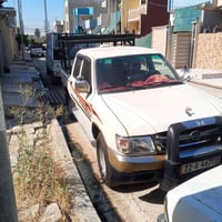 بيكم كير • ٢٠٠٨ • ما بيها صبغ