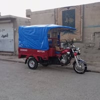 ستوته للبيع موديل 2021  فحل عالي شاخوان قلاب. رقم وسنويه كامل شرط تحوي...