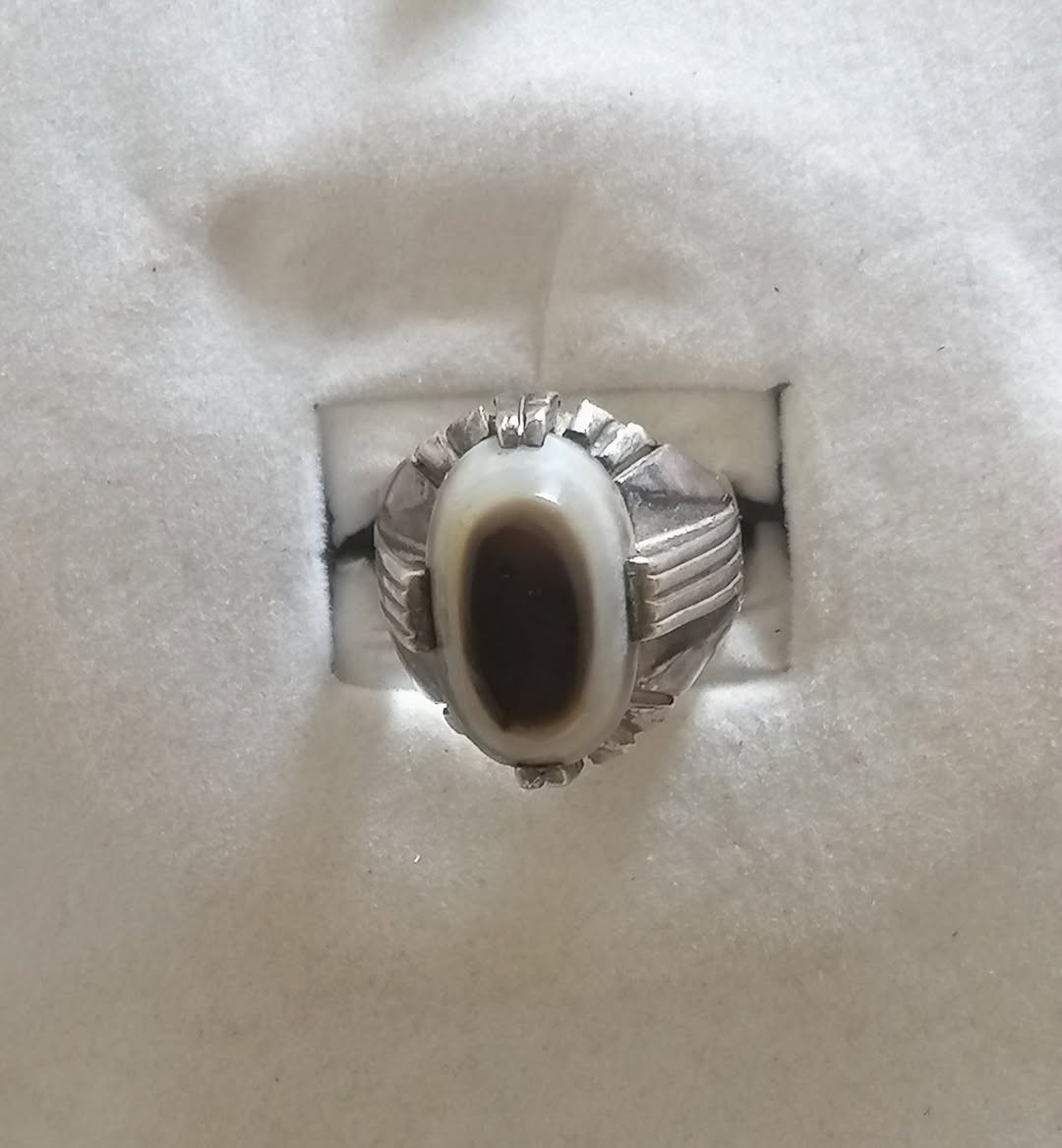 للبيع


**إذا كنت صاحب هذا الإعلان وتريد حذفه لأي سبب، رجاءا أرسل رسالة إلى الدعم الفني**