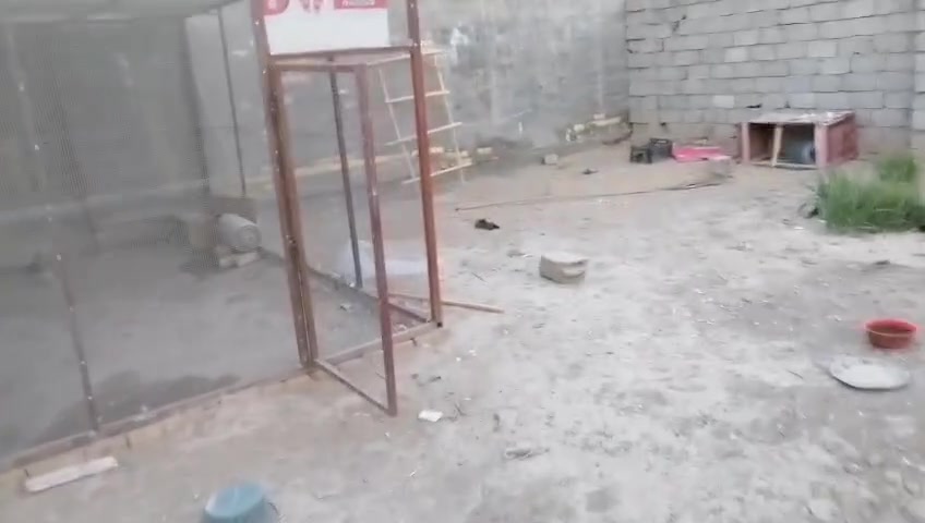 السلام عليكم
التفاصيل داخل الفيديو
***********
