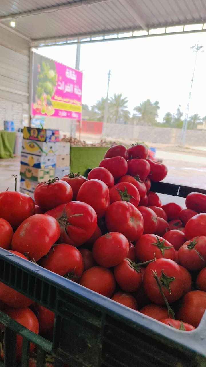 اللهم صل ع محمد وال محمد

تم وصول مخضر جديد درجه اولى
بأسعار مناسبه جدااا
يوجد توصيل  سريع داخل اامسيب ألف دينار 
الموقع شارع الامام ابو الجاسم ع 
مجاور حي الصدرين
علوه وبقاله جنه الفرات
للحجز والتسوق مراسله الصفحه


**إذا كنت صاحب هذا الإعلان وتريد حذفه لأي سبب، رجاءا أرسل رسالة إلى الدعم الفني**