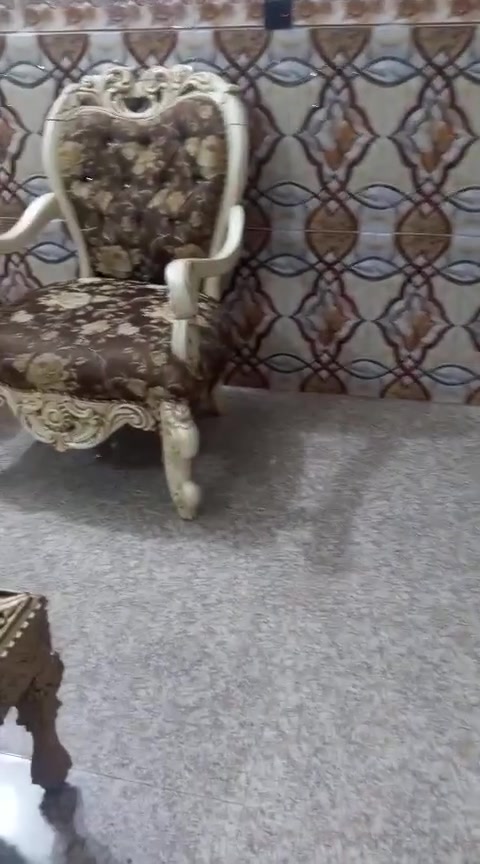 تخم  10 مقاعد زان تركي فول1/1.. شراي يتصل / ***********...عندك غراض اشتري.. ..

