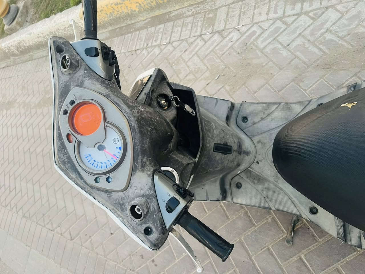 سكنس فحل ١٤٠ نوزل للبيع مكفولة كفالة عامة من تاير لتاير دراجة كاملة نقصهة بس ترايش صفح مثل مواضح بصورة نضافتهة العنوان مدينة الصدر قطاع ٨ السعر ٩٠٠ وبيهة مجال حك جية رقم الهاتف *********** جيب الف فيتر يفحصهة وياك
