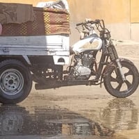 ستوته • شغاله • محرك شرط