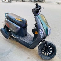 بوليسي صيني • نظيفه • طويريج