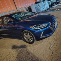 وارد امريكي • نص فول • حك بالجهة