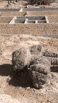 أرض زراعية • ٦٠٠م • بتلو ٢٣٠م