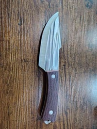 باله اوروبي • المسيب بابل • توصيل