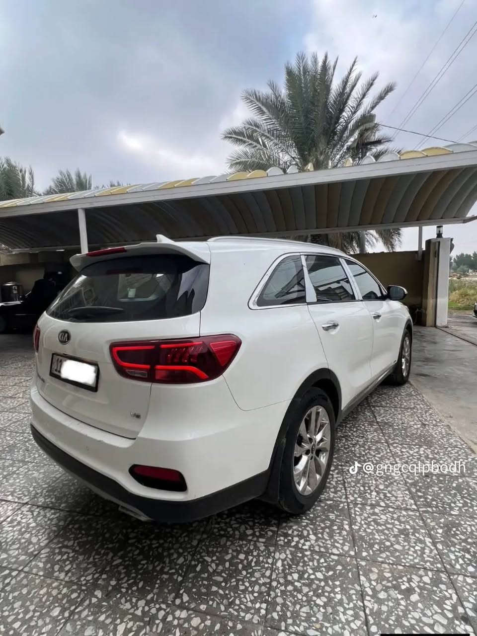 🔥 السلام عليكم 🔥
للبيع كيا سورينتو 2020 خليجي كويتي 🇰🇼🔥

فول الفول 1/1

سيارة جديدة بمعنى الكلمة ✨

كلها على وضع شركة

📌 التفاصيل:

الموديل: 2020

النوع: Kia Sorento

الوارد: خليجي كويتي

المحرك: V6 / 6 سلندر

الممشى: 65 ألف فقط

رقم بغداد دولي وبأسمي

⚙️ المواصفات:

تشغيل عن بعد

بانوراما

صندوق كهرباء

سايد بريك دكمة

فول مواصفات

نسخة الكويتي المعروفة بالفخامة والراحة

💰 السعر: 160

وبيها مجال للشراي الجاد فقط

رقمي ‏‪***********‬‏
