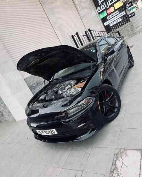 السلام عليكم

بيع او مراوس حسب القناعه 
 السعر 195 
دوج جارجر 

موديل 2019

GT اصل 

V6 3600 

 حادث  3  قطع 

فول عده الفتحه 

* كشن كهرباء

* شاشه كبيره 

* تشغيل عن بعد 

مواصفات أخرى 

مكان السياره   بغداد السيديه 

للاستفسار 

*********** بغداد
