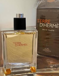 تيري دي هرمز • رجالي • حمضيات خشبي