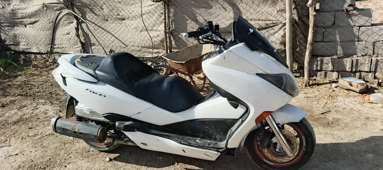 شباب فورزه  010 جهازه شغاله گير 7 نمر
بيه تلحيضات بلترايش وتريبات بصيطه 
650 مناسبه محتاج فلوسه مكاني بلدوايه  ***********
