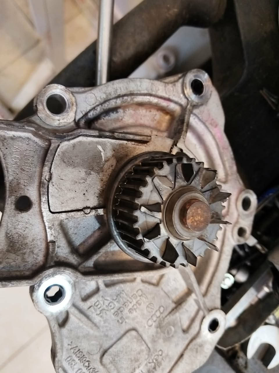 Shireen German Auto Service-  مركز شيرين لصيانة السيارات الالمانية
زبائننا الكرام

 السيارة الاولى 🚘: 

اشتكى الزبون من نقص في ماء راديتر ( نقص هوايا )   ، تم فحص المحرك وتبين ان المشكلة في الواتر بامب ، تم تبديل واتر بامب اوربي جديد مع ماء راديتر G12 evo الخاص بسيارات الفولكس واكن ( لازم تبدله كل ٣ سنوات ) علما بان السيارة هي فولكس واگن جيتا ( Jetta )  موديل 2021 محرك 2.0 تيربو    .

🌹

السيارة الثانية 🚖 :  

اشتكى الزبون من عدم عمل الرادار الامامي ، تم فحص الرادار وتبين ان رادر عاطل ، تم تركيب رادار مطابق لرقم شاصي ( نفس الكود ) وتم برمجة الرادار  اون لاين  ، علما بأن السيارة هي فولكس واكن تاوس ( Jetta  )  موديل 2025  محرك 1.5 تيربو . 

🌹
🌹

‏‎كروب وكالتنا 

https://www.facebook.com/share/g/16oT3VE986/?mibextid=wwXIfr

🌹
🌹

‏‎زبائننا الكرام 

‏‎عروض وكالتنا 

‏‎١- تبديل هيدروليك كير بدون اجور عمل 🚘

‏‎٢- فحص كومبيوتر مجانا في وقت تحتاجه سيارتك الى فحص في حالة تبديلك لدهن المحرك في وكالتنا . 

‏‎٣- فحص للصدر الامامي مجانا في وقت تحتاجه سيارتك الى فحص في حالة تبديلك للدهن المحرك في وكالتنا . 

‏‎كذلك سوف تدخل تلقائيًا في السحبة الشهرية للفلاتر المجانية والسحبة الدهن المجاني كل ثلاثة اشهر. 

‏‎٤-زبائننا الكرام 

‏‎العرض الجديد من وكالتنا 

‏‎في حالة زيارتك لورشتنا سوف تدخل تلقائيا بالقرعة الشهرية الجديدة . 

‏‎وسوف تحصل بها على اجور عمل مجانية لاي صيانة تقوم بها في المستقبل حتى وان كان تعمير محرك 

‏‎🏆  العرض الجديد : 

‏‎٥-تبديل هيدروليك كير مجاني ( قرعة كل ثلاثة اشهر )

🌹
🌹

موقع شركتنا الجديد

‏https://maps.google.com/?q=36.168079,44.011108

‏‎‏‎شركة شيرين ( وكالة فولكس واگن & سكودا) 

‏‎اربيل -شارع ملعب فرنسو حريري اذا من جهة شارع  60  - قرب نقليات بغداد ( كراج بغداد) - بالقرب من مرطبات 9* 9 

***********-***********

‏‎الوكالة الالمانية الوحيدة في العراق 🇩🇪

‏#erbil #Atlas #kurdistan #Volkswagen #audi

السيارتين  لونهم احمر 😁
