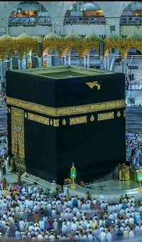 سيتم ارسال الجوازات مساء هذا اليوم اغتنم فرصتك وارسل جوازك لتكسب عمرة ...