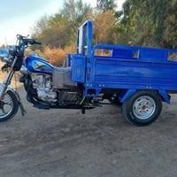 ستوته • أوراق أصلية • ٢٠٢٣