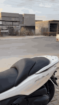 فورزه 2012 • ليوسفيه بغداد • زينون