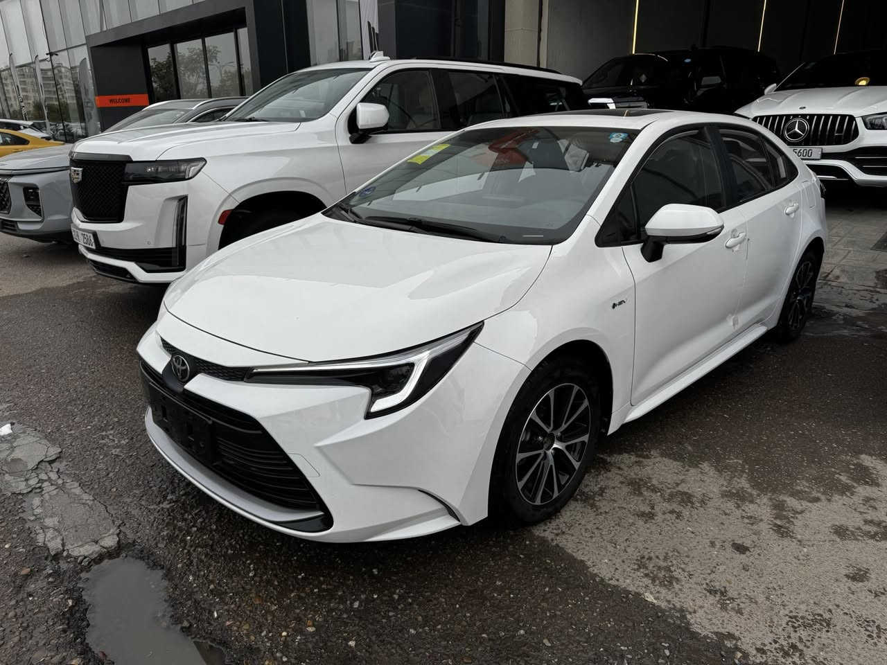 سلام عليكم
كورلا 2025 هايبرد 
زيرو غير مستخدم 

شكل الامريكي 
مرقم بغداد جاهز بيه لوحات وسنويه 
السعر : 23,400,000 دينار

***********
