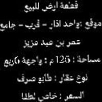 رقم واتساب 07708377484