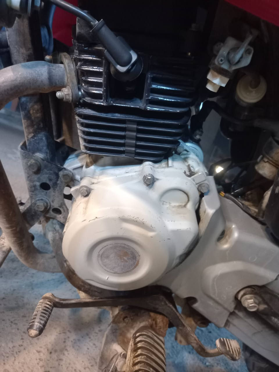 سلام عليكم بوكسر رقم وسنويه بسمي موديل 21شهر 11 سعر 1900 بغداد حي الاعلام ***********
