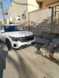 سلتوز • ٢٠٢٤ • دخول جديد
