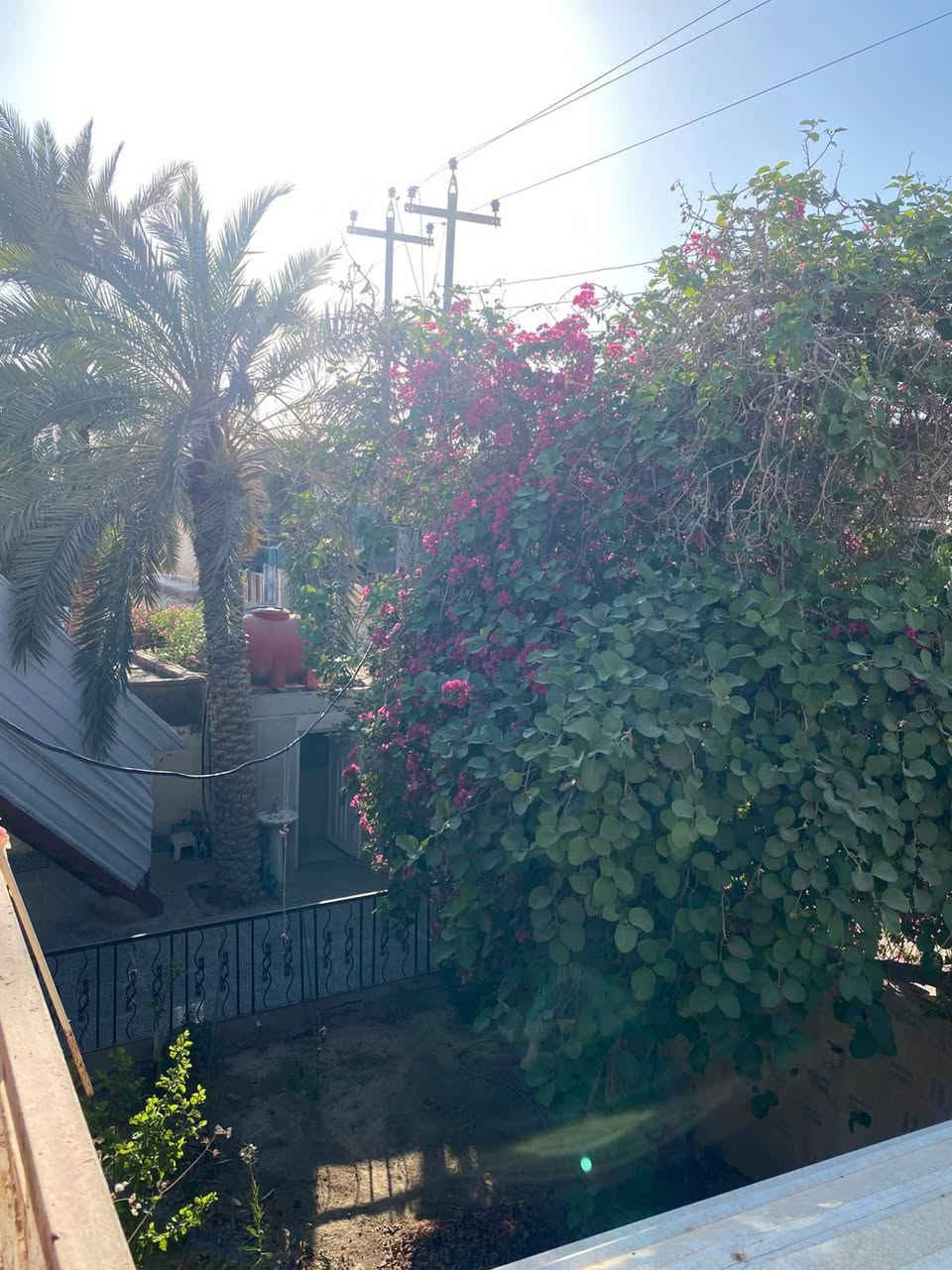 بيت للبيع في منطقه ام العصافير (حي الزهراء) التفاصيل المساحه ٣٠٠٠م طابقين الطابق الثاني مفصول بدرج خارجي خريطه مرتبه الطابق الاول غرفتين وهول وبراني ومطبخ وصحيات داخليه وخارجيه وطارمه وحديقه كبيره ومناور الطابق الثاني غرفتين ومطبخ وصحيات وهول ودرج خارجي.. السعر مناسب جدا والبيت فارغ حاليا. للاستفسار اكثر الاتصال ***********
