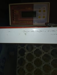 فقاسه البيع اتشيل الف 200 بيضه شغاله كامله اي عيب مابيهه السعر 750 وبي...