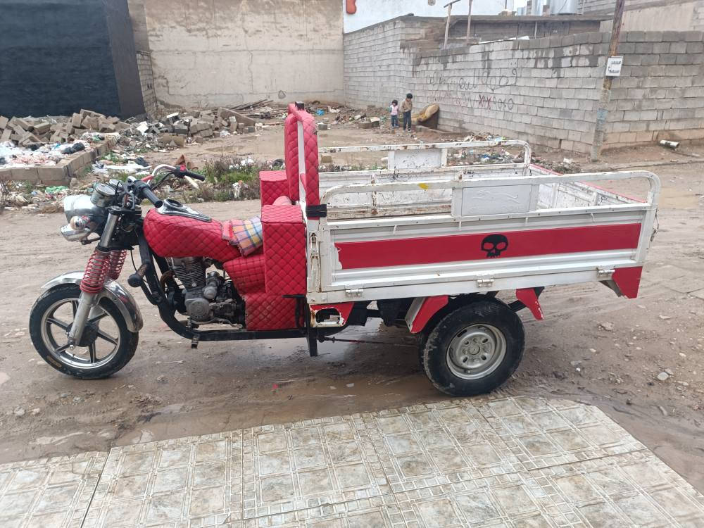 ستوته للبيع فحل 2018 سعر 900 بيها مجال ***********
