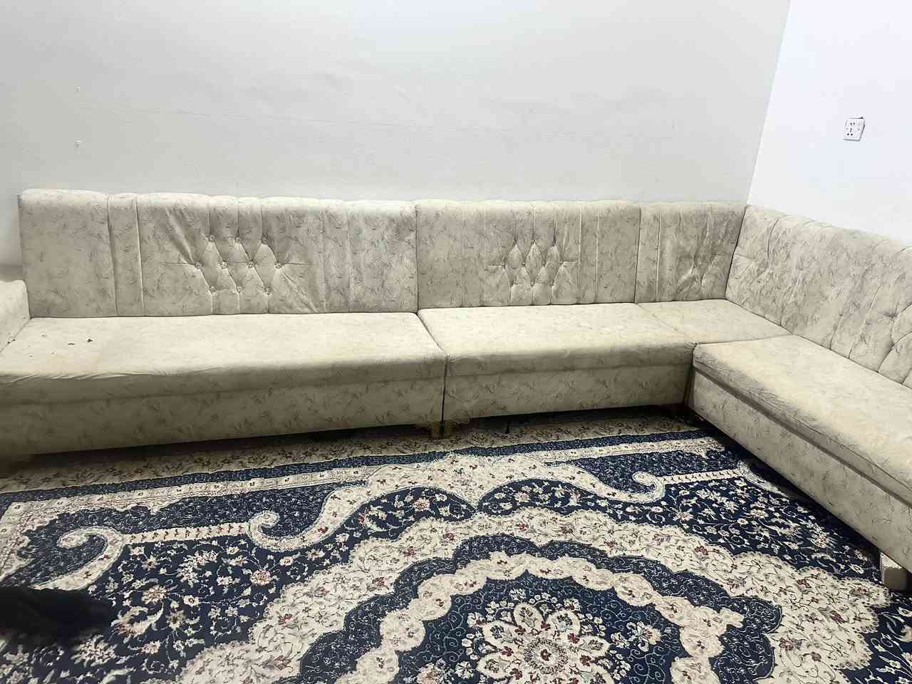 تخم ديوان سعره 180 عنوان كربلاء حي فارس 

‭0783 174 4367‬
