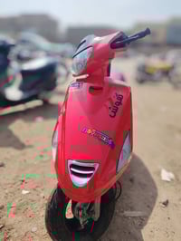 فراشه • فحل • حاويه