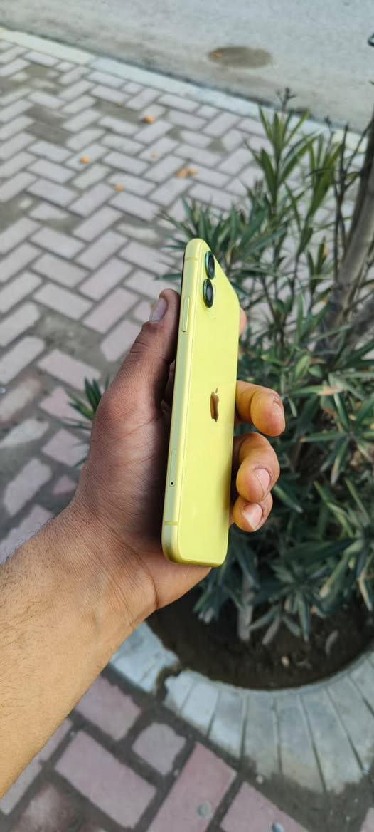 ايفوان 11عادي داكره 64
شرط حاصر هوه ضدل ماي 
بطاريه 83 شرط قطاره 
جهاز كلو شرط كلشي مامبدل 
واله وصل مصلح كلو شرط 
كاميرات حيل حلوات 
جهاز مكفول من الشخوط 
شخطه مابيه اخو الجديد 
سعر 275 بيه مجال بصيط


**إذا كنت صاحب هذا الإعلان وتريد حذفه لأي سبب، رجاءا أرسل رسالة إلى الدعم الفني**