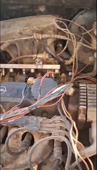 محرك استرا • تفرعات كامل • افيو امريكي