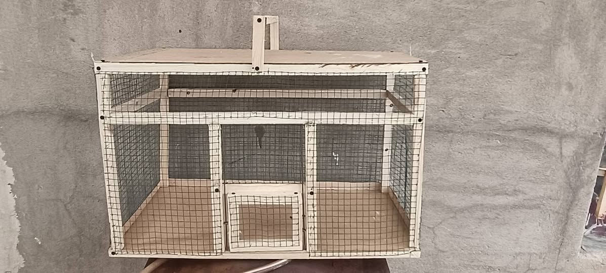 سلام علیکم قفز للبیع جدید مامستخدم سعرە12بیها مجال


**إذا كنت صاحب هذا الإعلان وتريد حذفه لأي سبب، رجاءا أرسل رسالة إلى الدعم الفني**